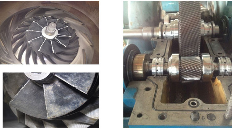 1677832269131407.jpg 1646370143540834.jpg